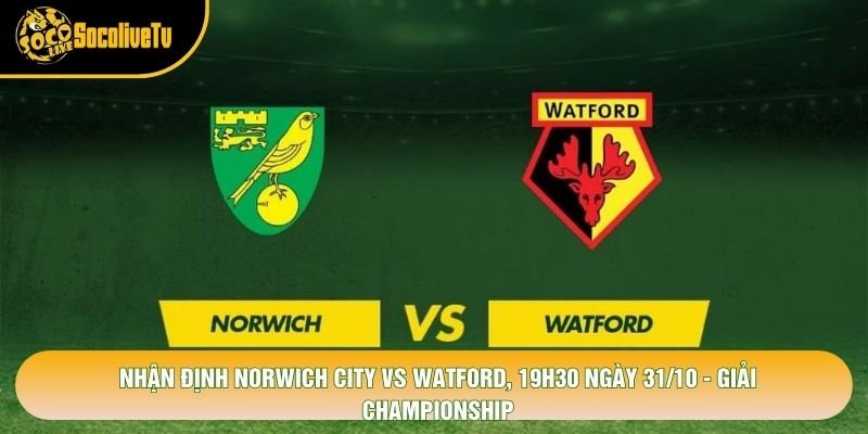 Nhận Định Norwich City Vs Watford, 19h30 Ngày 31/10 - Giải Championship